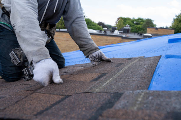 Quick and Trustworthy Emergency Roof Repair Services in Mounds View, MN
