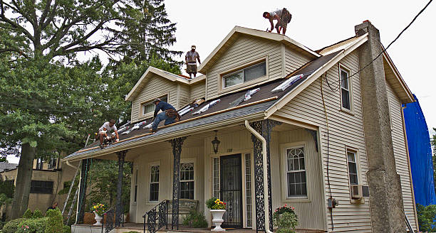 Best Residential Roofing Contractor  in Mounds View, MN